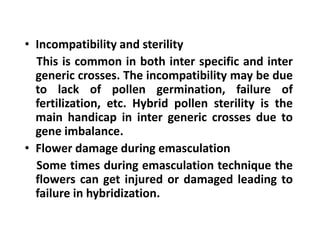 • Incompatibility and sterility
This is common in both inter specific and inter
generic crosses. The incompatibility may be due
to lack of pollen germination, failure of
fertilization, etc. Hybrid pollen sterility is the
main handicap in inter generic crosses due to
gene imbalance.
• Flower damage during emasculation
Some times during emasculation technique the
flowers can get injured or damaged leading to
failure in hybridization.
• Incompatibility and sterility
This is common in both inter specific and inter
generic crosses. The incompatibility may be due
to lack of pollen germination, failure of
fertilization, etc. Hybrid pollen sterility is the
main handicap in inter generic crosses due to
gene imbalance.
• Flower damage during emasculation
Some times during emasculation technique the
flowers can get injured or damaged leading to
failure in hybridization.
 
