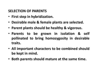 SELECTION OF PARENTS
• First step in hybridization.
• Desirable male & female plants are selected.
• Parent plants should be healthy & vigorous.
• Parents to be grown in isolation & self
pollinated to bring homozygosity in desirable
traits.
• All important characters to be combined should
be kept in mind.
• Both parents should mature at the same time.
SELECTION OF PARENTS
• First step in hybridization.
• Desirable male & female plants are selected.
• Parent plants should be healthy & vigorous.
• Parents to be grown in isolation & self
pollinated to bring homozygosity in desirable
traits.
• All important characters to be combined should
be kept in mind.
• Both parents should mature at the same time.
 