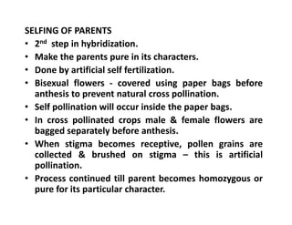 SELFING OF PARENTS
• 2nd step in hybridization.
• Make the parents pure in its characters.
• Done by artificial self fertilization.
• Bisexual flowers - covered using paper bags before
anthesis to prevent natural cross pollination.
• Self pollination will occur inside the paper bags.
• In cross pollinated crops male & female flowers are
bagged separately before anthesis.
• When stigma becomes receptive, pollen grains are
collected & brushed on stigma – this is artificial
pollination.
• Process continued till parent becomes homozygous or
pure for its particular character.
SELFING OF PARENTS
• 2nd step in hybridization.
• Make the parents pure in its characters.
• Done by artificial self fertilization.
• Bisexual flowers - covered using paper bags before
anthesis to prevent natural cross pollination.
• Self pollination will occur inside the paper bags.
• In cross pollinated crops male & female flowers are
bagged separately before anthesis.
• When stigma becomes receptive, pollen grains are
collected & brushed on stigma – this is artificial
pollination.
• Process continued till parent becomes homozygous or
pure for its particular character.
 