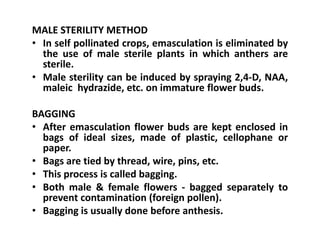 MALE STERILITY METHOD
• In self pollinated crops, emasculation is eliminated by
the use of male sterile plants in which anthers are
sterile.
• Male sterility can be induced by spraying 2,4-D, NAA,
maleic hydrazide, etc. on immature flower buds.
BAGGING
• After emasculation flower buds are kept enclosed in
bags of ideal sizes, made of plastic, cellophane or
paper.
• Bags are tied by thread, wire, pins, etc.
• This process is called bagging.
• Both male & female flowers - bagged separately to
prevent contamination (foreign pollen).
• Bagging is usually done before anthesis.
MALE STERILITY METHOD
• In self pollinated crops, emasculation is eliminated by
the use of male sterile plants in which anthers are
sterile.
• Male sterility can be induced by spraying 2,4-D, NAA,
maleic hydrazide, etc. on immature flower buds.
BAGGING
• After emasculation flower buds are kept enclosed in
bags of ideal sizes, made of plastic, cellophane or
paper.
• Bags are tied by thread, wire, pins, etc.
• This process is called bagging.
• Both male & female flowers - bagged separately to
prevent contamination (foreign pollen).
• Bagging is usually done before anthesis.
 