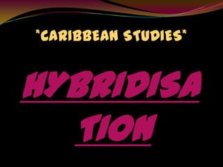 *CARIBBEAN STUDIES*


HYBRIDISA
  TION
 