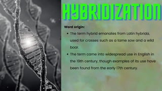 HYBRIDIZATION
HYBRIDIZATION
HYBRIDIZATION
The term hybrid emanates from Latin hybrida,
used for crosses such as a tame sow and a wild
boar.
The term came into widespread use in English in
the 19th century, though examples of its use have
been found from the early 17th century.
Word origin:
 