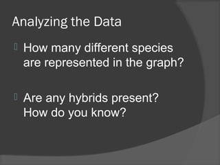 Analyzing the Data
 How many different species
are represented in the graph?
 Are any hybrids present?
How do you know?
 