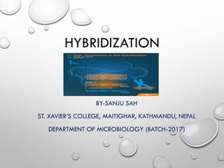 HYBRIDIZATION
BY-SANJU SAH
ST. XAVIER’S COLLEGE, MAITIGHAR, KATHMANDU, NEPAL
DEPARTMENT OF MICROBIOLOGY (BATCH-2017)
 