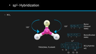 • sp2
- Hybridization
• BCl3
B
Cl Cl
Cl
120°
120°
TRIGONAL PLANAR
Boron
(Ground
state)
Boron(Excited
state)
BCl3(Hybridiz
ed)
 
