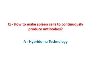 Q - How to make spleen cells to continuously
produce antibodies?
A - Hybridoma Technology
 