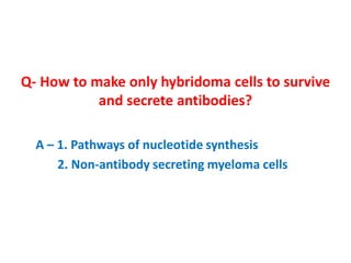 Q- How to make only hybridoma cells to survive
and secrete antibodies?
A – 1. Pathways of nucleotide synthesis
2. Non-antibody secreting myeloma cells
 