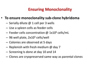 Ensuring Monoclonality
• To ensure monoclonality sub-clone hybridoma
– Serially dilute @ 1 cell per 3 wells
– Use a spleen cells as feeder cells
– Feeder cells concentration @ 1x106 cells/mL
– 96 well plate, 2x105 cells/well
– Colonies are observed at 5 days
– Replenish with fresh medium @ day 7
– Screening Is done at day 10 and 14
– Clones are cryopreserved same way as parental clones
 