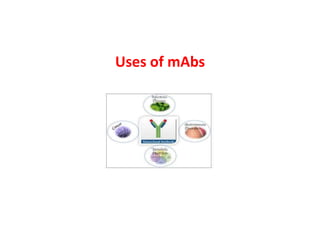 Uses of mAbs
 