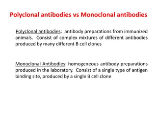 Polyclonal antibodies vs Monoclonal antibodies
Polyclonal antibodies: antibody preparations from immunized
animals. Consist of complex mixtures of different antibodies
produced by many different B cell clones
Monoclonal Antibodies: homogeneous antibody preparations
produced in the laboratory. Consist of a single type of antigen
binding site, produced by a single B cell clone
 