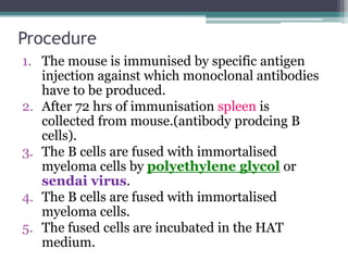 Procedure
1. The mouse is immunised by specific antigen
injection against which monoclonal antibodies
have to be produced.
2. After 72 hrs of immunisation spleen is
collected from mouse.(antibody prodcing B
cells).
3. The B cells are fused with immortalised
myeloma cells by polyethylene glycol or
sendai virus.
4. The B cells are fused with immortalised
myeloma cells.
5. The fused cells are incubated in the HAT
medium.
 