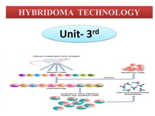 HYBRIDOMA TECHNOLOGY
Unit- 3rd
 