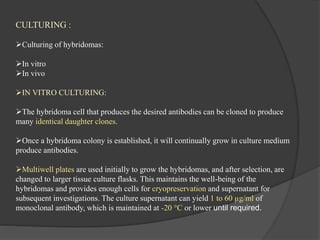 CULTURING :
Culturing of hybridomas:
In vitro
In vivo
IN VITRO CULTURING:
The hybridoma cell that produces the desired antibodies can be cloned to produce
many identical daughter clones.
Once a hybridoma colony is established, it will continually grow in culture medium
produce antibodies.
Multiwell plates are used initially to grow the hybridomas, and after selection, are
changed to larger tissue culture flasks. This maintains the well-being of the
hybridomas and provides enough cells for cryopreservation and supernatant for
subsequent investigations. The culture supernatant can yield 1 to 60 µg/ml of
monoclonal antibody, which is maintained at -20 °C or lower until required.
 