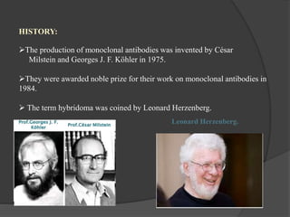 HISTORY:
The production of monoclonal antibodies was invented by César
Milstein and Georges J. F. Köhler in 1975.
They were awarded noble prize for their work on monoclonal antibodies in
1984.
 The term hybridoma was coined by Leonard Herzenberg.
Leonard Herzenberg.
 