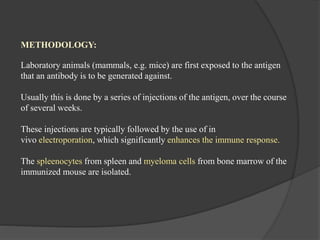 METHODOLOGY:
Laboratory animals (mammals, e.g. mice) are first exposed to the antigen
that an antibody is to be generated against.
Usually this is done by a series of injections of the antigen, over the course
of several weeks.
These injections are typically followed by the use of in
vivo electroporation, which significantly enhances the immune response.
The spleenocytes from spleen and myeloma cells from bone marrow of the
immunized mouse are isolated.
 