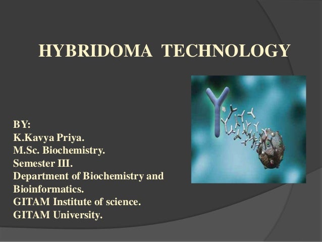 Hybridoma technology