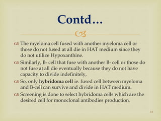 
 The myeloma cell fused with another myeloma cell or
those do not fused at all die in HAT medium since they
do not utilize Hypoxanthine.
 Similarly, B- cell that fuse with another B- cell or those do
not fuse at all die eventually because they do not have
capacity to divide indefinitely,
 So, only hybridoma cell ie. fused cell between myeloma
and B-cell can survive and divide in HAT medium.
 Screening is done to select hybridoma cells which are the
desired cell for monoclonal antibodies production.
Contd…
13
 