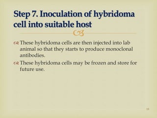 
 These hybridoma cells are then injected into lab
animal so that they starts to produce monoclonal
antibodies.
 These hybridoma cells may be frozen and store for
future use.
Step 7. Inoculation of hybridoma
cell into suitable host
15
 