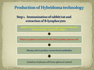 7
Rabbit or lab rat is immunized through repeated injection
(intravenously) of specific antigen.
Where in spleen it activate B-cell which produce plasma cell.
Plasma cell to produce monoclonal antibodies
Isolation of plasma cell from spleen of animal
 