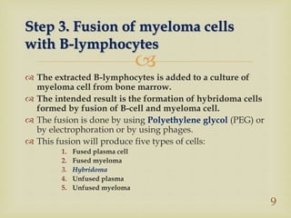 
 The extracted B-lymphocytes is added to a culture of
myeloma cell from bone marrow.
 The intended result is the formation of hybridoma cells
formed by fusion of B-cell and myeloma cell.
 The fusion is done by using Polyethylene glycol (PEG) or
by electrophoration or by using phages.
 This fusion will produce five types of cells:
1. Fused plasma cell
2. Fused myeloma
3. Hybridoma
4. Unfused plasma
5. Unfused myeloma
Step 3. Fusion of myeloma cells
with B-lymphocytes
9
 