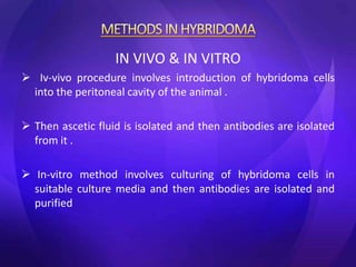 IN VIVO & IN VITRO
 Iv-vivo procedure involves introduction of hybridoma cells
into the peritoneal cavity of the animal .
 Then ascetic fluid is isolated and then antibodies are isolated
from it .
 In-vitro method involves culturing of hybridoma cells in
suitable culture media and then antibodies are isolated and
purified
 