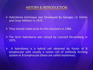  Hybridoma technique was Developed by Georges J.F. Kohler
and Cesar Milstein in 1975 .
 They shared nobel prize for this discovery in 1984 .
 The term hybridoma was coined by Leonard Herzenberg in
1975.
 A hybridoma is a hybrid cell obtained by fusion of B
lymphocyte with usually a tumor cell of antibody forming
system or B lymphocyte (these are called myelomas).
 