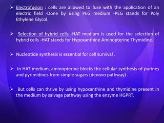  Electrofusion : cells are allowed to fuse with the application of an
electric field -Done by using PEG medium -PEG stands for Poly
Ethylene Glycol.
 Selection of hybrid cells -HAT medium is used for the selection of
hybrid cells -HAT stands for Hypoxanthine Aminopterine Thymidine.
 Nucleotide synthesis is essential for cell survival .
 In HAT medium, aminopterine blocks the cellular synthesis of purines
and pyrimidines from simple sugars (denovo pathway) .
 But cells can thrive by using hypoxanthine and thymidine present in
the medium by salvage pathway using the enzyme HGPRT.
 