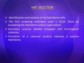  Identification and isolation of the hybridoma cells.
 The first screening technique used is ELISA -Done by
incubating the hybridoma culture supernatant.
 Secondary enzyme labeled conjugate and chromogenic
substrate.
 Formation of a coloured product indicates a positive
hybridoma.
 