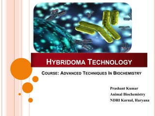 HYBRIDOMA TECHNOLOGY
Prashant Kumar
Animal Biochemistry
NDRI Karnal, Haryana
COURSE: ADVANCED TECHNIQUES IN BIOCHEMISTRY
 