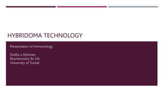 HYBRIDOMA TECHNOLOGY
Persentation of Immunology
Shafiq u Rahman
Biochemistry Bs 5th
University of Turbat
 