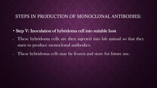 Hybridoma technology for production of monoclonal antibodies.pdf