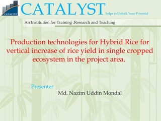 CATALYSThelps to Unlock Your Potential
An Institution for Training ,Research and Teaching
Production technologies for Hybrid Rice for
vertical increase of rice yield in single cropped
ecosystem in the project area.
Presenter
Md. Nazim Uddin Mondal
 