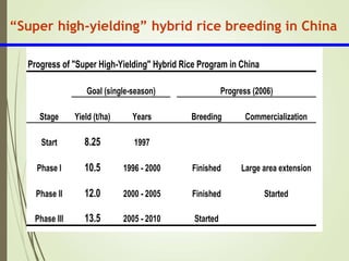 Hybrid_Rice_Breeding_&_Seed_Production.ppt