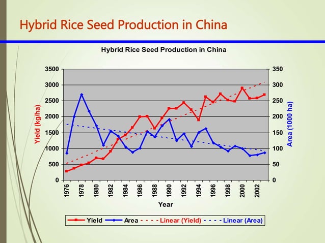 Hybrid_Rice_Breeding_&_Seed_Production.ppt