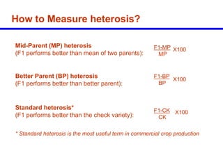Heterosis Graph Hybrid_Rice_Breeding_Seed_Production.ppt