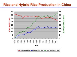 Hybrid_Rice_Breeding_Seed_Production.ppt