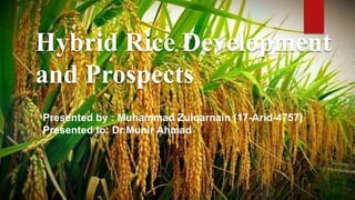 Hybrid rice development and prospects (1) | PPTX