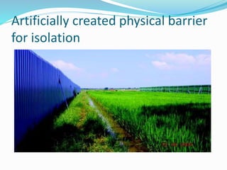 Artificially created physical barrier
for isolation
 