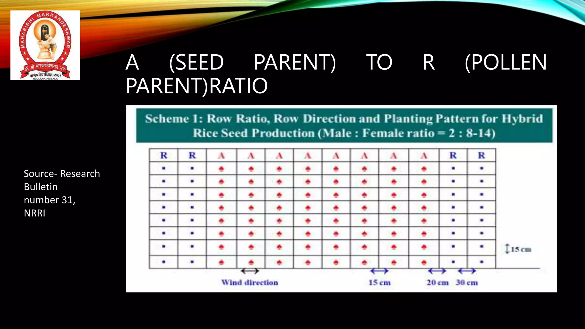 Hybrid Rice seed Production by Dr. Akshay Kumar Vats.pptx
