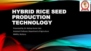 HYBRID RICE SEED
PRODUCTION
TECHNOLOGY
Presented By: Dr. Akshay Kumar Vats
Assistant Professor, Department of Agriculture
MMDU, Mullana
 