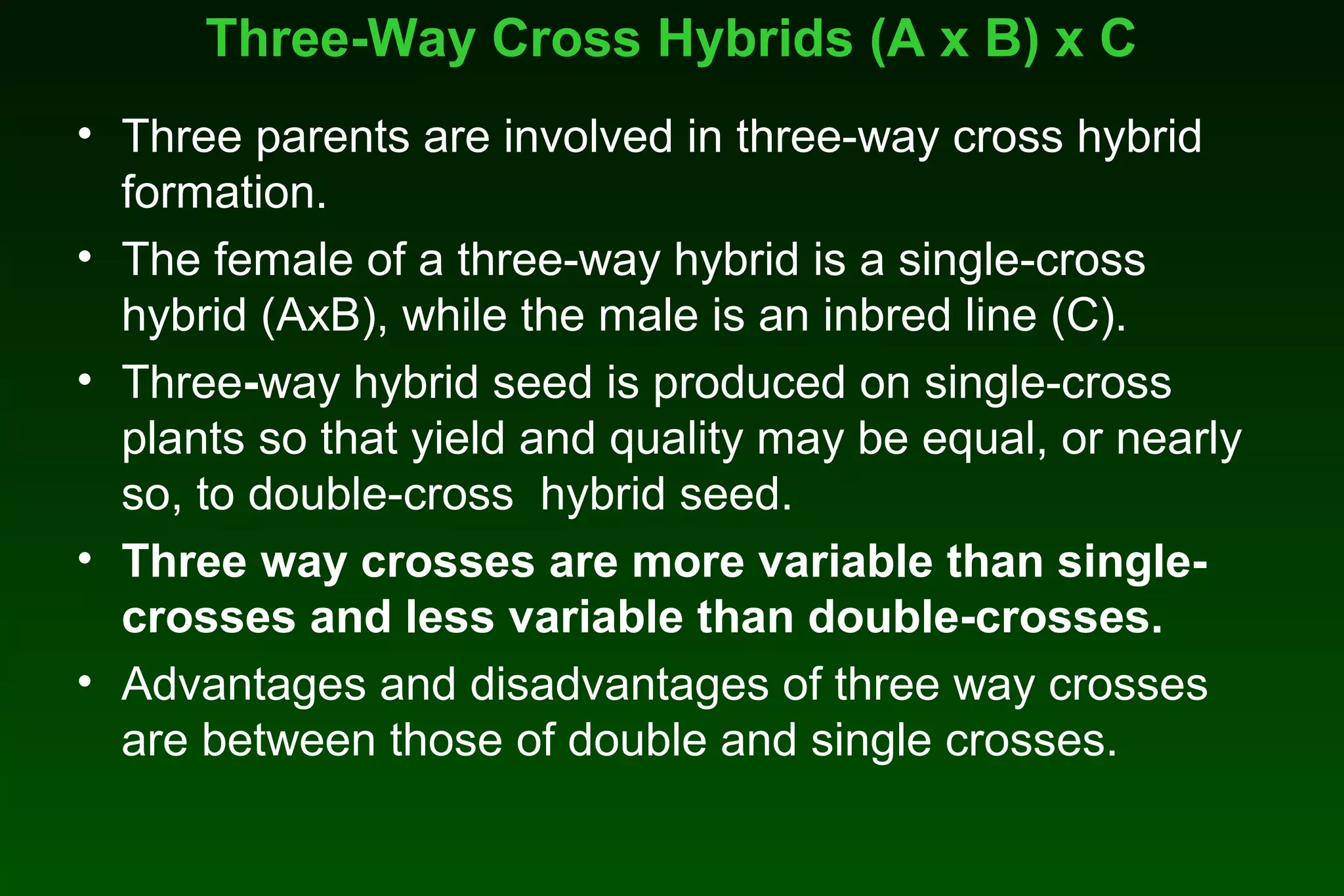 Hybrid Maize seed Production | PPT