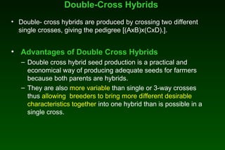 Double-Cross Hybrids
• Double- cross hybrids are produced by crossing two different
single crosses, giving the pedigree [(AxB)x(CxD).].
• Advantages of Double Cross Hybrids
– Double cross hybrid seed production is a practical and
economical way of producing adequate seeds for farmers
because both parents are hybrids.
– They are also more variable than single or 3-way crosses
thus allowing breeders to bring more different desirable
characteristics together into one hybrid than is possible in a
single cross.
 