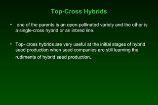 Top-Cross Hybrids
• one of the parents is an open-pollinated variety and the other is
a single-cross hybrid or an inbred line.
• Top- cross hybrids are very useful at the initial stages of hybrid
seed production when seed companies are still learning the
rudiments of hybrid seed production.
 