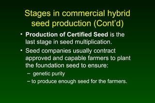 Stages in commercial hybrid
seed production (Cont’d)
• Production of Certified Seed is the
last stage in seed multiplication.
• Seed companies usually contract
approved and capable farmers to plant
the foundation seed to ensure:
– genetic purity
– to produce enough seed for the farmers.
 