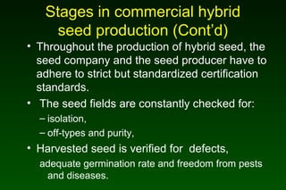 Stages in commercial hybrid
seed production (Cont’d)
• Throughout the production of hybrid seed, the
seed company and the seed producer have to
adhere to strict but standardized certification
standards.
• The seed fields are constantly checked for:
– isolation,
– off-types and purity,
• Harvested seed is verified for defects,
adequate germination rate and freedom from pests
and diseases.
 