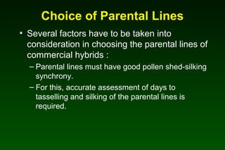 Choice of Parental Lines
• Several factors have to be taken into
consideration in choosing the parental lines of
commercial hybrids :
– Parental lines must have good pollen shed-silking
synchrony.
– For this, accurate assessment of days to
tasselling and silking of the parental lines is
required.
 