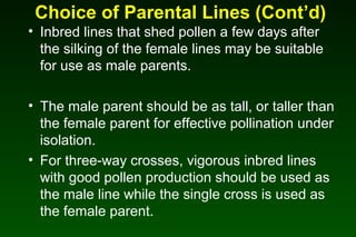 Choice of Parental Lines (Cont’d)
• Inbred lines that shed pollen a few days after
the silking of the female lines may be suitable
for use as male parents.
• The male parent should be as tall, or taller than
the female parent for effective pollination under
isolation.
• For three-way crosses, vigorous inbred lines
with good pollen production should be used as
the male line while the single cross is used as
the female parent.
 