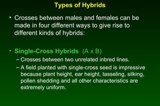 Types of Hybrids
• Crosses between males and females can be
made in four different ways to give rise to
different kinds of hybrids:
• Single-Cross Hybrids (A x B)
– Crosses between two unrelated inbred lines.
– A field planted with single-cross seed is impressive
because plant height, ear height, tasseling, silking,
pollen shedding and all other characteristics are
extremely uniform.
 
