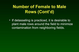 Number of Female to Male
Rows (Cont’d)
• If detasseling is practiced, it is desirable to
plant male rows around the field to minimize
contamination from neighboring fields.
 