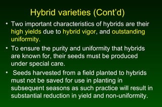 Hybrid varieties (Cont’d)
• Two important characteristics of hybrids are their
high yields due to hybrid vigor, and outstanding
uniformity.
• To ensure the purity and uniformity that hybrids
are known for, their seeds must be produced
under special care.
• Seeds harvested from a field planted to hybrids
must not be saved for use in planting in
subsequent seasons as such practice will result in
substantial reduction in yield and non-uniformity.
 